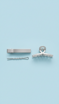 Frosted Silver Hair Clip Set